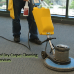 Carpet Cleaning