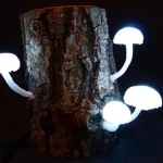 Mushroom Lamps