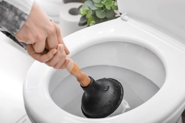 plunger