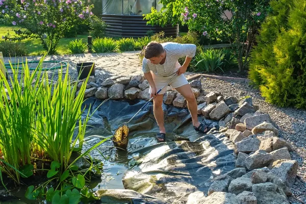 Cleaner Pond