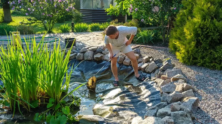 Cleaner Pond